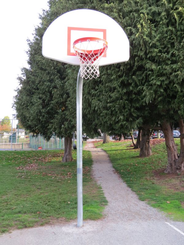 Basketball Goal Installation in Denver County, CO